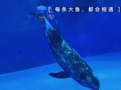-横店影视城梦幻谷园区
