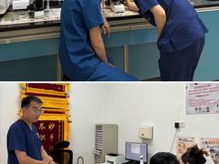 -派美特宠物医院·核磁CT·骨科肿瘤·疑难转诊(沈农禾丰店)
