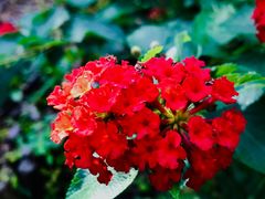 -上海吴淞炮台湾国家湿地公园