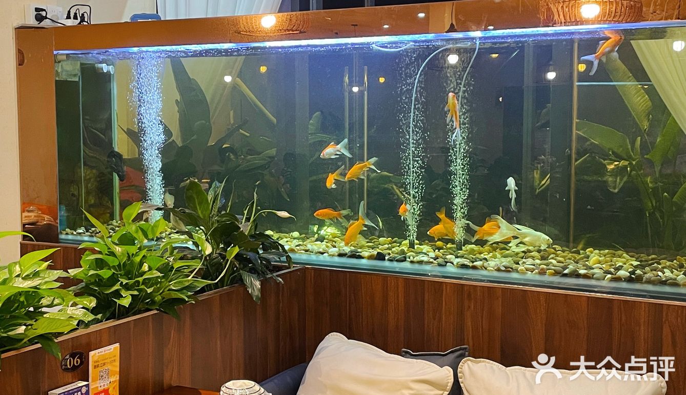 多口味瓦鸡煲！邓紫棋清远演唱会打卡美食！