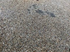 -新加坡水上探险乐园