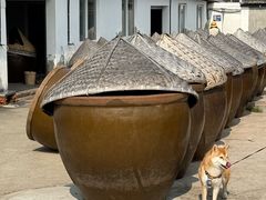 -苏州市吴中区光福窑上花果蜜饯厂