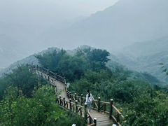 -大岭沟猕猴桃谷风景区