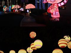 -灵玲国际马戏城