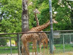 -拿渡麻辣香锅(世茂广场·工三店)