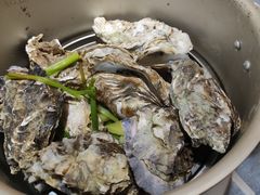 -东极岛海鲜