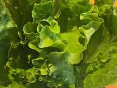 -手选潮汕鲜牛肉火锅(二七广场店)