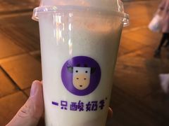 -一只酸奶牛(八一路店)