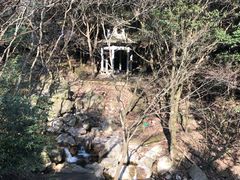 -北仑森林植物园