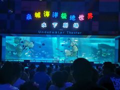 -泉城欧乐堡海洋极地世界