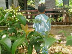 -上海佘山国家森林公园天马山园