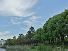 -美兰湖景区