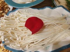 -青瓷火锅料理(西单大悦城店)