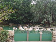 -珠海长隆海洋王国