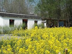 -溱湖国家湿地公园