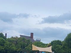 -上海吴淞炮台湾国家湿地公园
