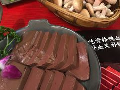 谭公鸭血-谭鸭血老火锅(漳州路店)