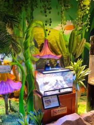 -酷嗒动物文化乐园(cutezoo西溪乐天城店)