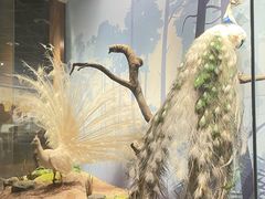 -陕西自然博物馆