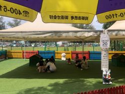 -萌宠亲子动物乐园(槐房万达店)