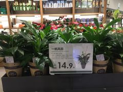 -鹿岛会员店 (龙湖三千集天街店)