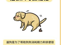 -美联众合动物医院·24h转诊中心