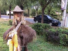 -大自然农场蔬菜草莓采摘园
