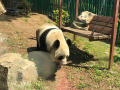 -大连森林动物园