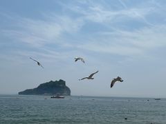 -棒棰岛宾馆景区