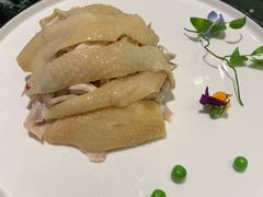 -蝶园·装修中(BFC外滩金融中心店)