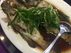 清蒸多宝鱼-盛港湾海鲜食府(黄沙店)