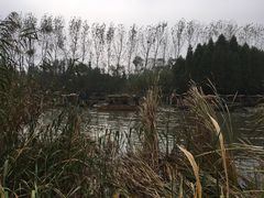 -溱湖国家湿地公园