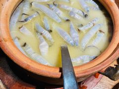 -张家卫·阳江菜·小海鲜(肥婆湾桥店)