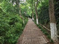 -伯先公园