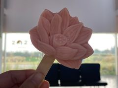 -嘉北郊野公园