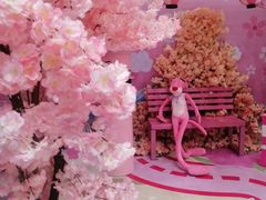 -伊藤洋华堂(高新店)