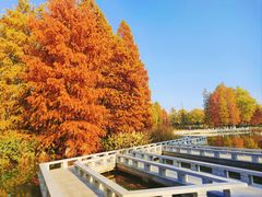 -白塘生态植物园