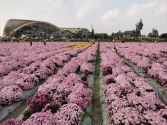 -中国天府农业博览园