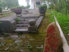 -羊楼洞