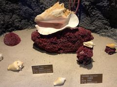 -北海·海洋之窗