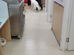 -宠福鑫康馨动物医院·骨科·眼科