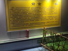 -诸城市恐龙博物馆