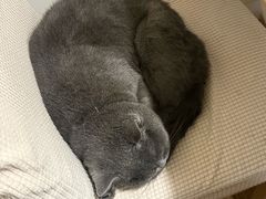 -春笙食堂.丼饭拉面寿司(GOGO新天地店)