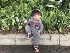 -东莞植物园