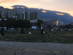 -洱海月湿地公园