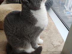 -Catmate·猫肥家润(金润铂宫店)