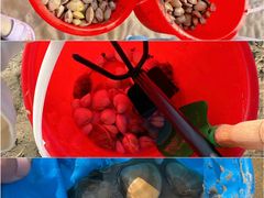 -巧克力渔家.小船海鲜胶东菜(万平口店)