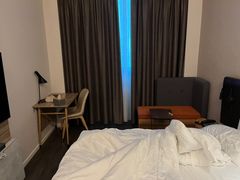 -汉庭(合肥火车南站北广场店)