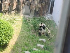 -大连森林动物园