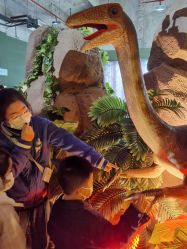 -恐龙探索乐园(磁器口店)